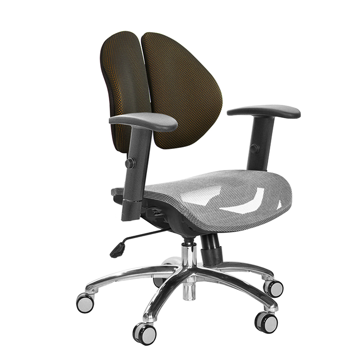GXG 短背網座 雙背椅 (鋁合金腳/SO升降扶手) TW-2997 LU5