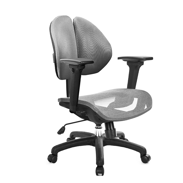 GXG 短背網座 雙背椅 (3D升降扶手) TW-2997 E9