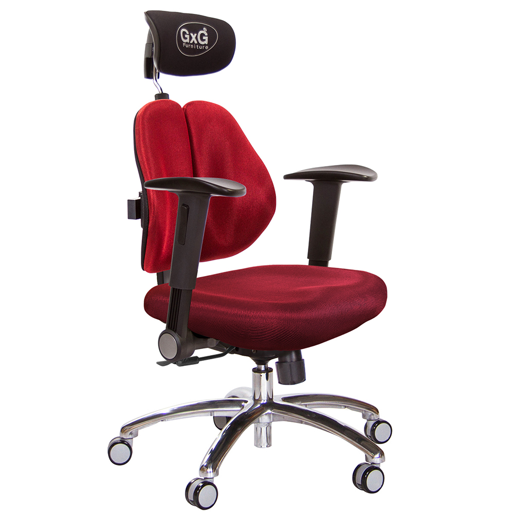 GXG 雙軸枕 雙背電腦椅(鋁腳/摺疊升降扶手)  型號2604 LUA1