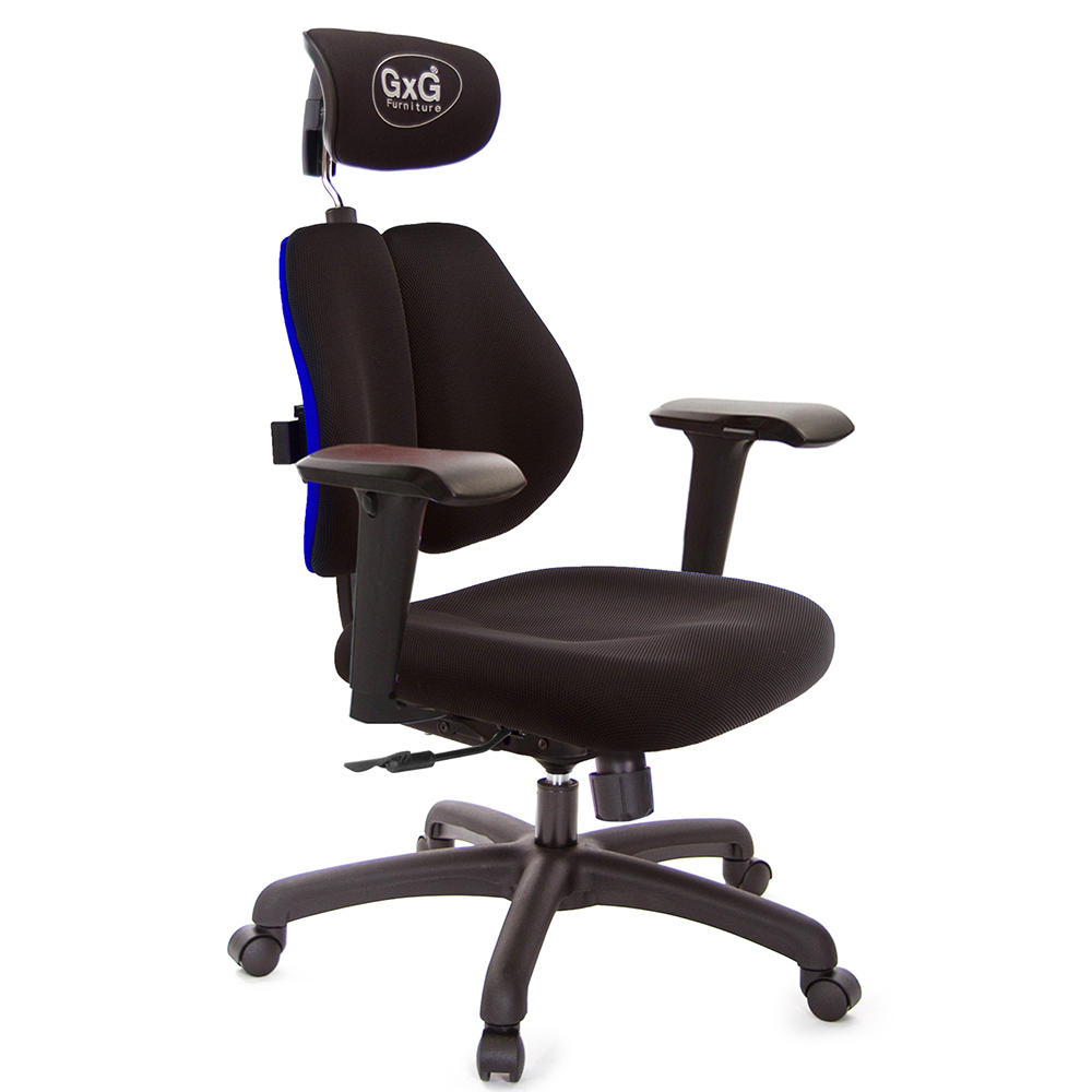 GXG 雙軸枕 雙背電腦椅(4D升降扶手)  型號2604 EA3