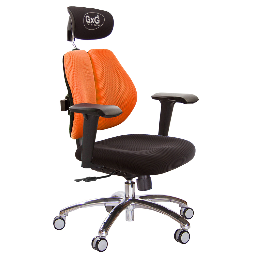 GXG 雙軸枕 雙背電腦椅(鋁腳/4D升降扶手)  型號2604 LUA3