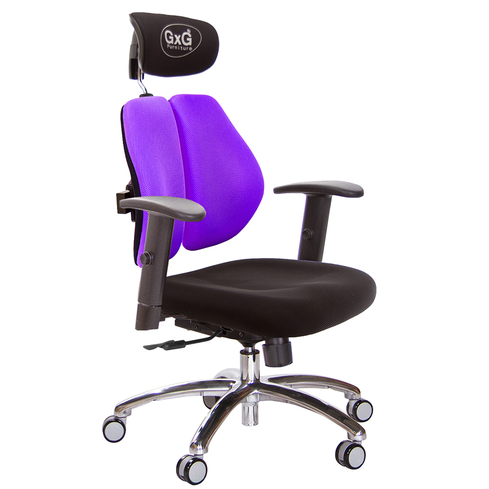 GXG 雙軸枕 雙背電腦椅(鋁腳/SO金屬扶手)  型號2604 LUA5