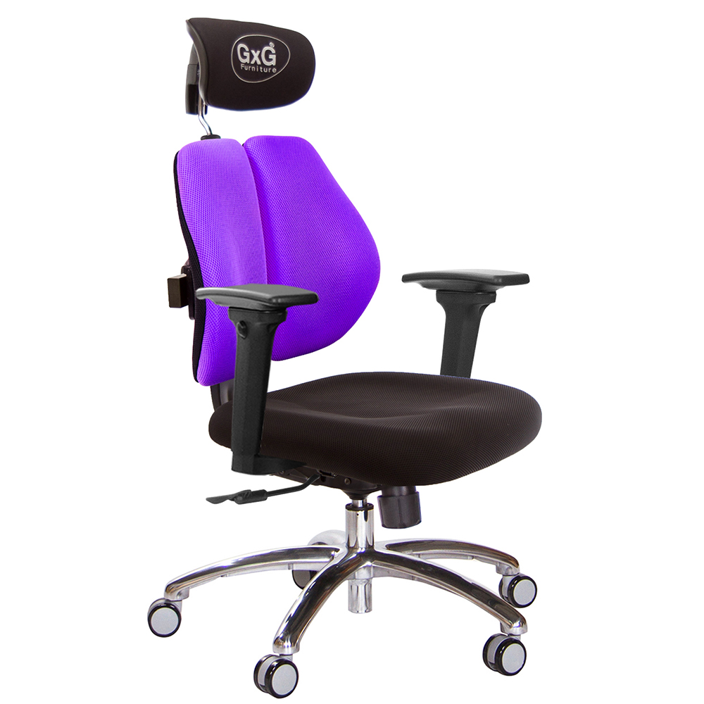 GXG 雙軸枕 雙背電腦椅(鋁腳/3D升降扶手)  型號2604 LUA9