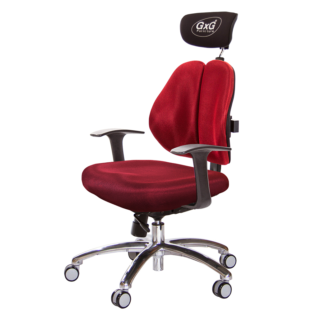 GXG 雙軸枕 雙背工學椅(鋁腳/T字扶手)  型號2606 LUA