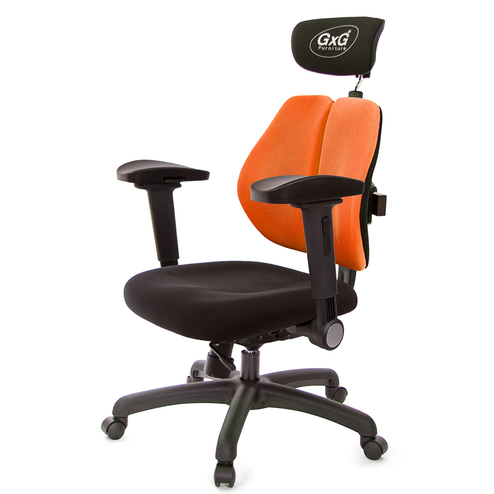 GXG 雙軸枕 雙背工學椅(4D弧面摺疊手)  型號2606 EA1D