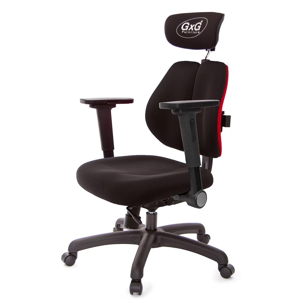 GXG 雙軸枕 雙背工學椅(4D平面摺疊手)  型號2606 EA1H