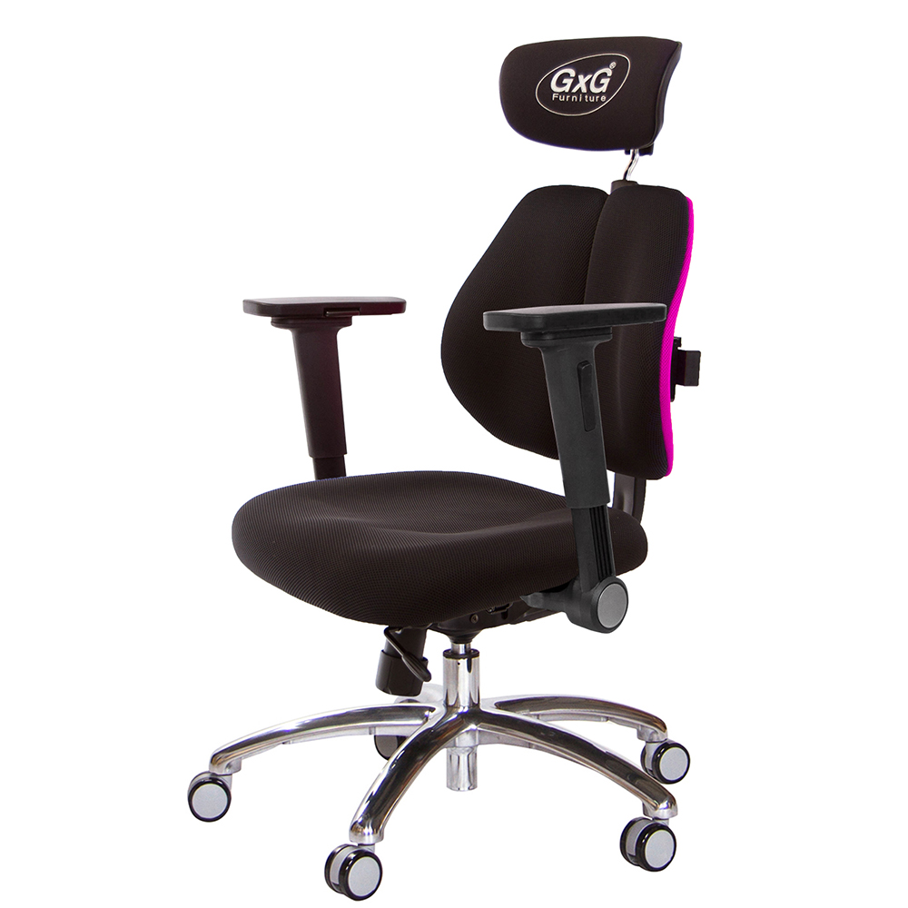 GXG 雙軸枕 雙背工學椅(鋁腳/4D平面摺疊手)  型號2606 LUA1H