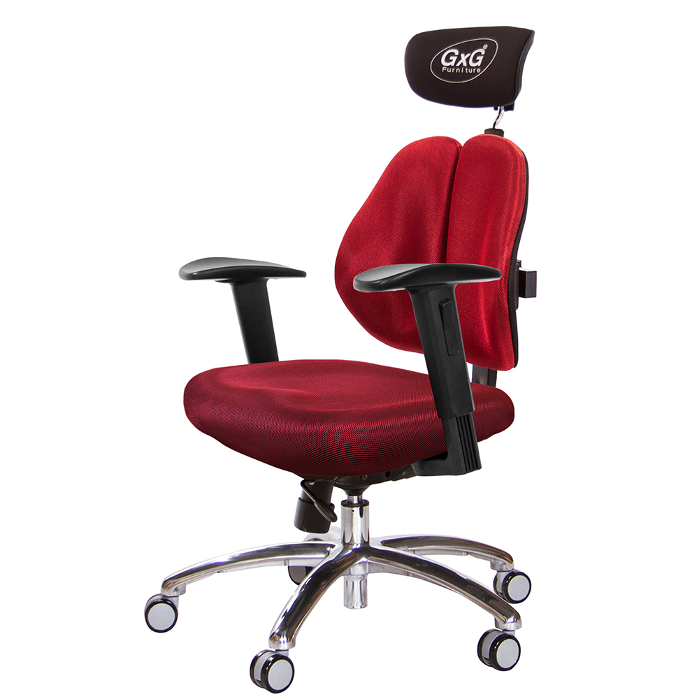 GXG 雙軸枕 雙背工學椅(鋁腳/2D升降扶手)  型號2606 LUA2