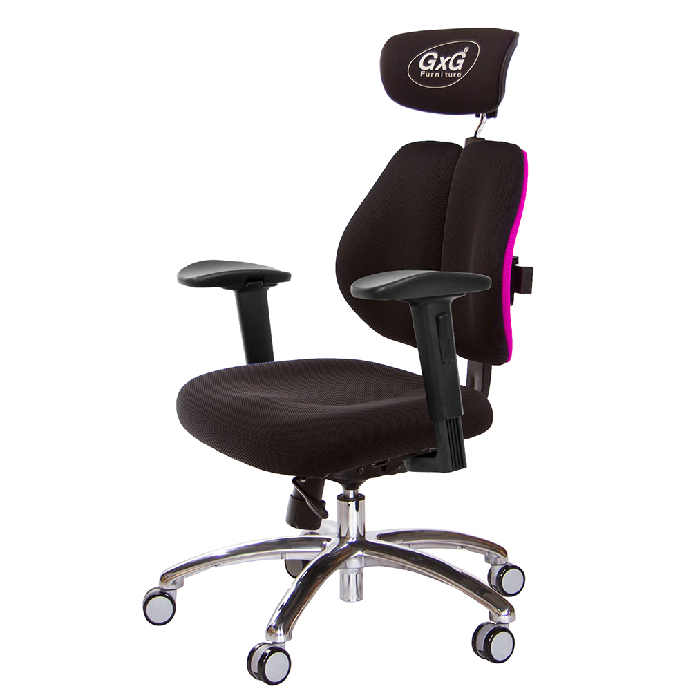GXG 雙軸枕 雙背工學椅(鋁腳/2D滑面升降扶手)  型號2606 LUA2J