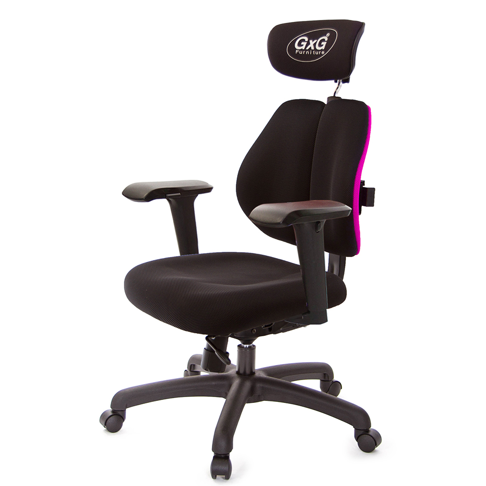 GXG 雙軸枕 雙背工學椅(4D升降扶手)  型號2606 EA3