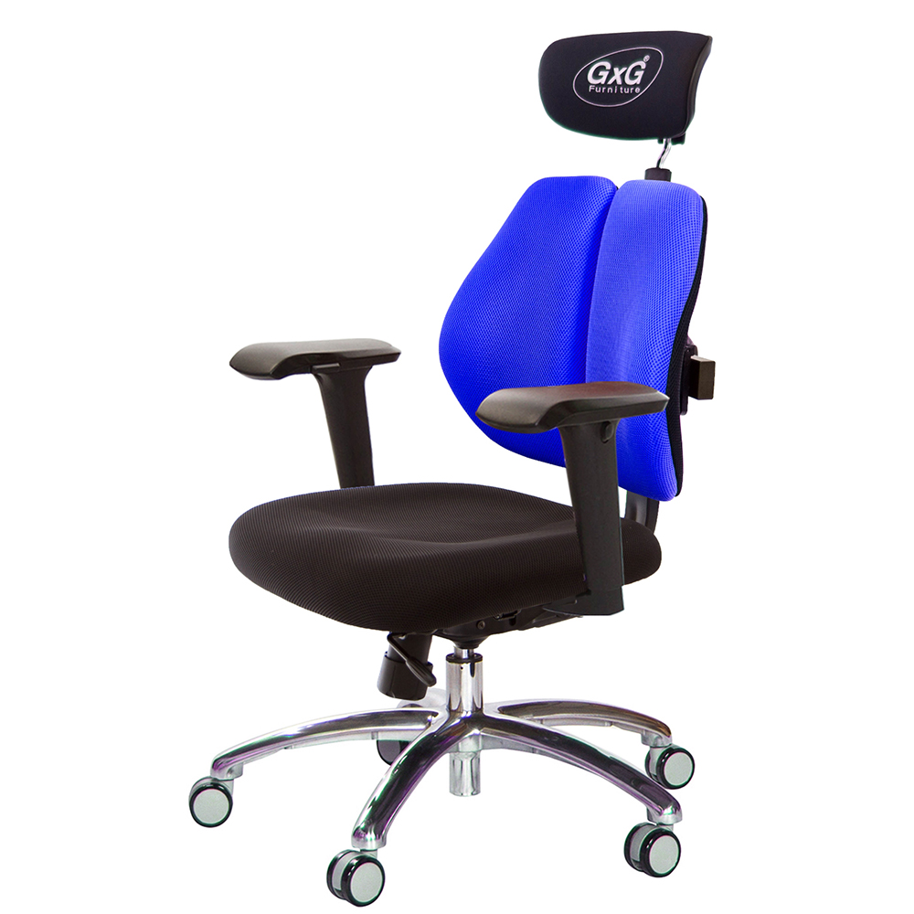GXG 雙軸枕 雙背工學椅(鋁腳/4D升降扶手)  型號2606 LUA3