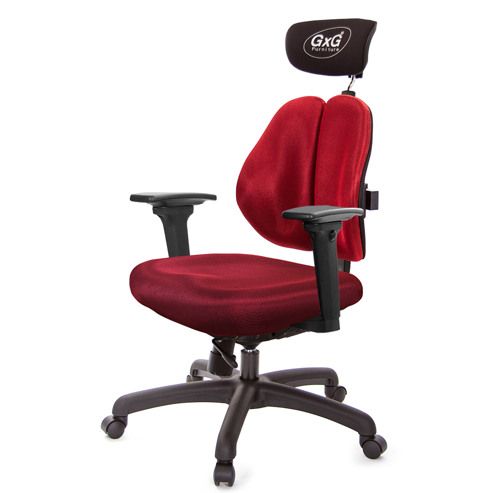 GXG 雙軸枕 雙背工學椅(3D升降扶手)  型號2606 EA9