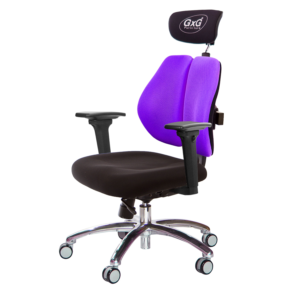 GXG 雙軸枕 雙背工學椅(鋁腳/3D升降扶手)  型號2606 LUA9