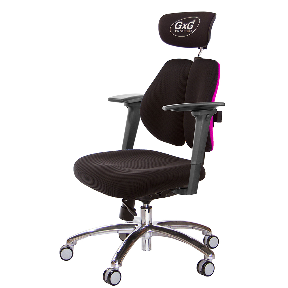 GXG 雙軸枕 雙背工學椅(鋁腳/3D手遊休閒扶手)  型號2606 LUA9M