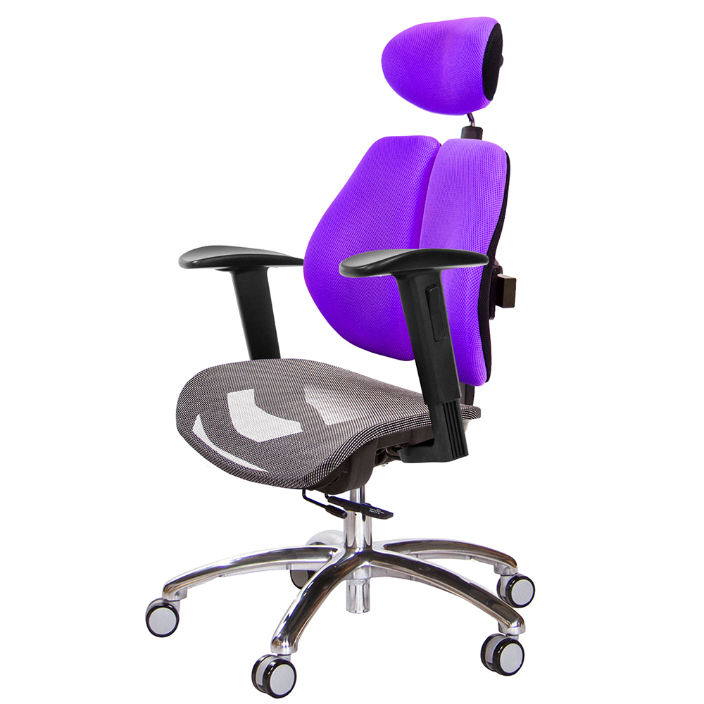 GXG 高雙背網座 工學椅(鋁腳/2D升降扶手)  型號2806 LUA2