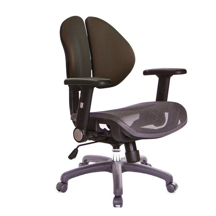 GXG 短背網座 雙背椅 (摺疊扶手) 型號2997 E1