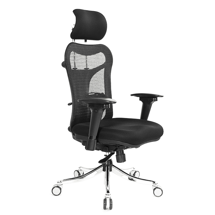 GXG 人體工學 電腦椅 TW-999