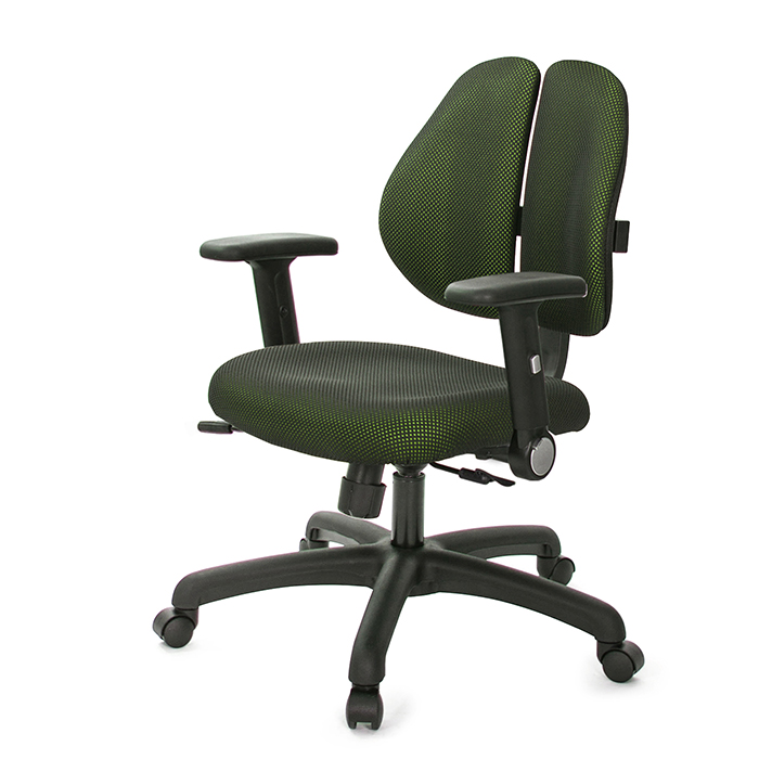 GXG 人體工學 雙背椅 (摺疊升降扶手)  型號2991 E1
