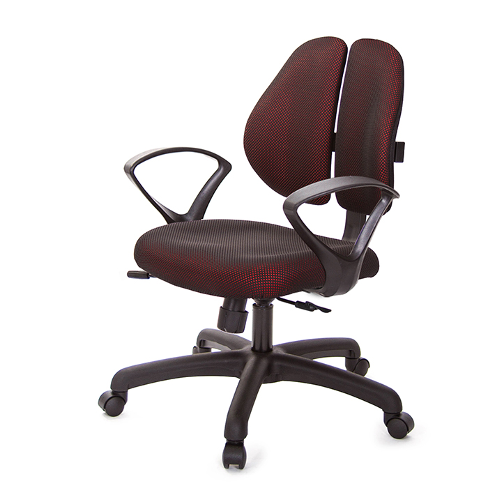 GXG 人體工學 雙背椅 (D字扶手)  型號2991 E4