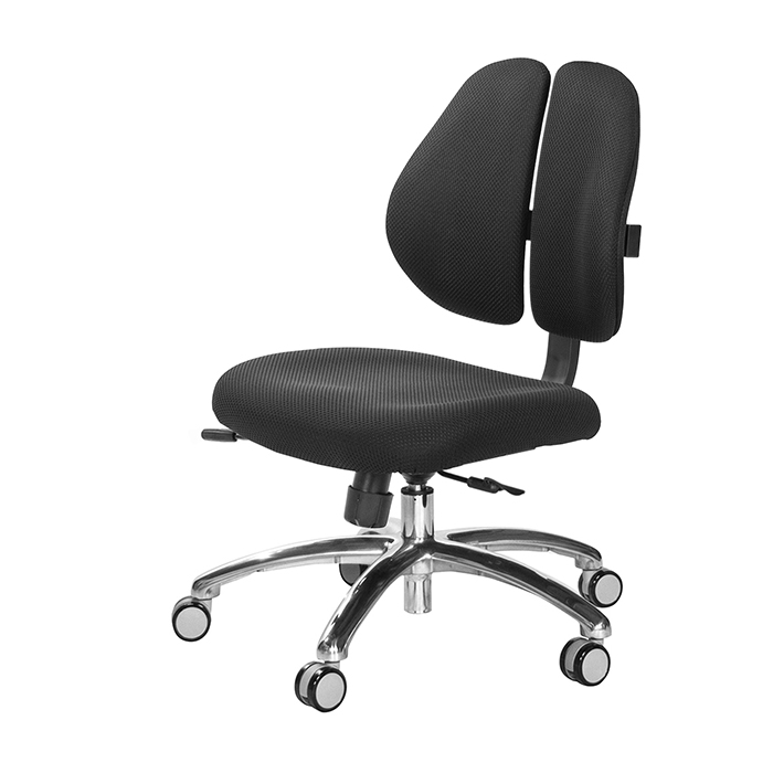 GXG 人體工學 雙背椅 (鋁腳/無扶手)  型號2991 LUNH