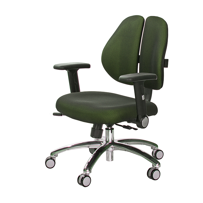 GXG 人體工學 雙背椅 (鋁腳/摺疊升降扶手)  型號2991 LU1