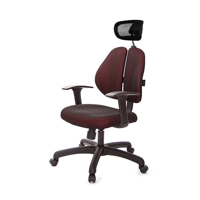GXG 高背泡棉座 雙背椅 (T字扶手)  型號2993 EA