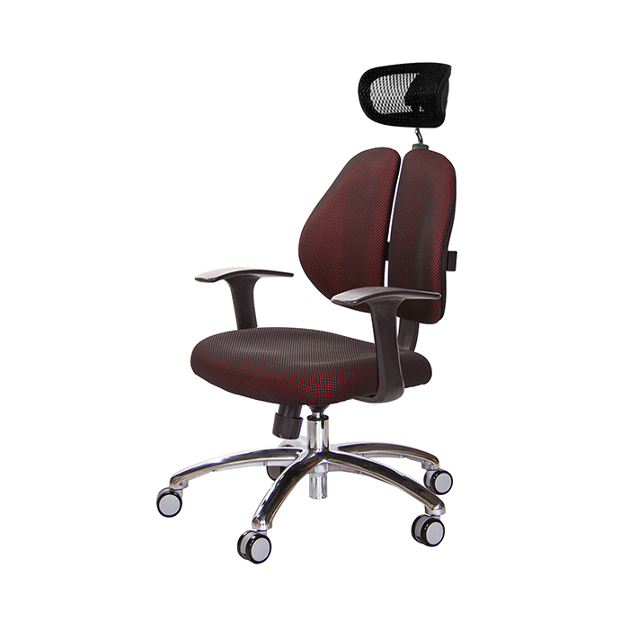 GXG 高背泡棉座 雙背椅 (鋁腳/T字扶手)  型號2993 LUA