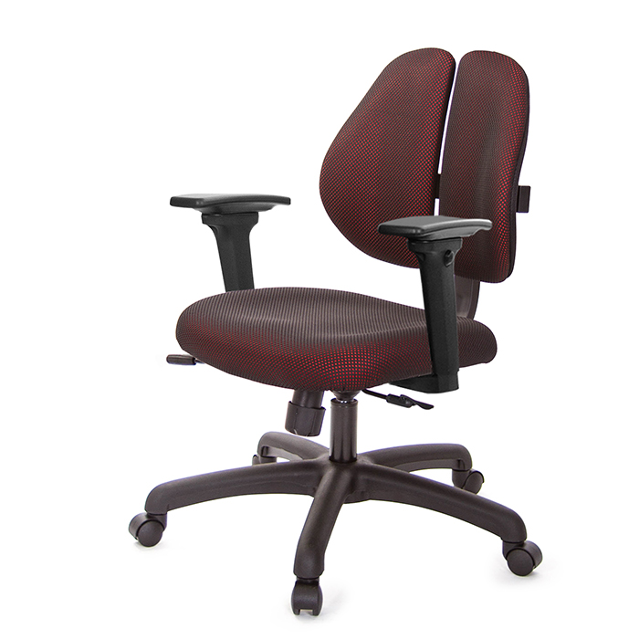 GXG 人體工學 雙背椅 (3D升降扶手)  型號2991 E9