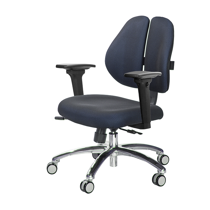 GXG 人體工學 雙背椅 (鋁腳/3D升降扶手)  型號2991 LU9