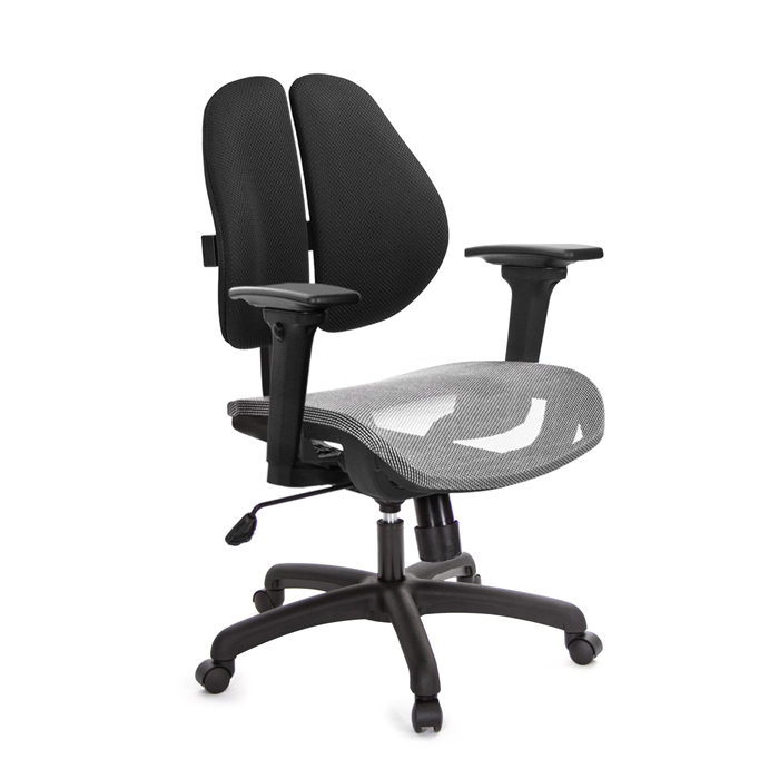 GXG 短背網座 雙背椅 (3D升降扶手)  TW-2801 E9