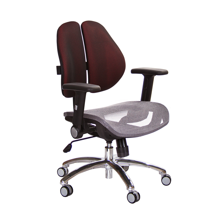 GXG 短背網座 雙背椅 (鋁腳/摺疊升降扶手)  TW-2801 LU1