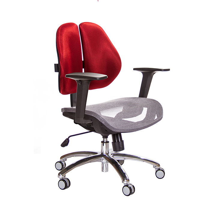 GXG 短背網座 雙背椅 (升降扶手)  TW-2801 LU2