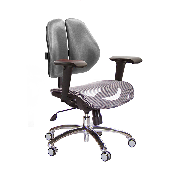 GXG 短背網座 雙背椅 (4D升降扶手)  TW-2801 LU3