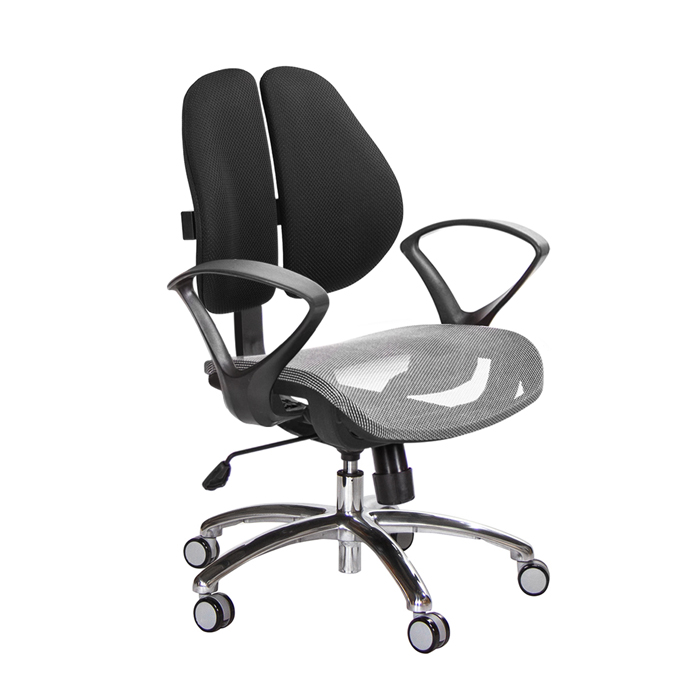 GXG 短背網座 雙背椅 (鋁腳/D字扶手)  TW-2801 LU4