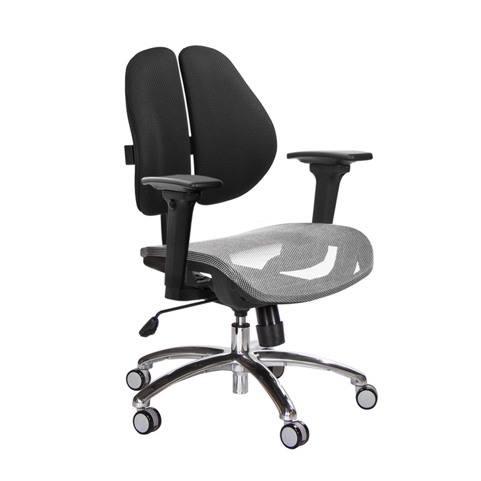 GXG 短背網座 雙背椅 (鋁腳/3D升降扶手)  TW-2801 LU9