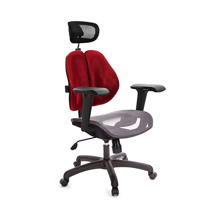GXG 高背網座 雙背椅 (4D升降扶手)  TW-2802 EA3