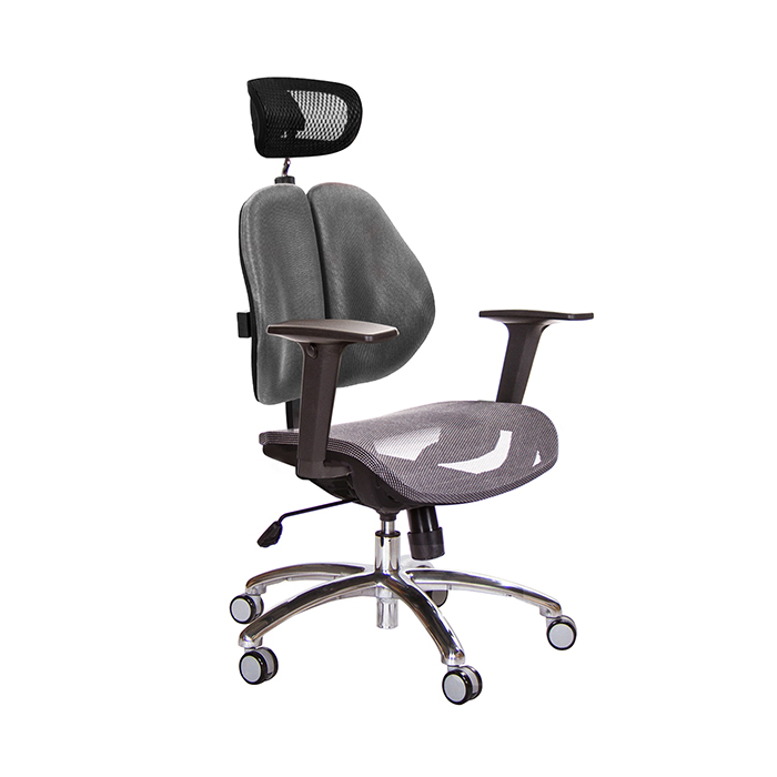 GXG 高背網座 雙背椅 (鋁腳/升降扶手)  TW-2802 LUA2
