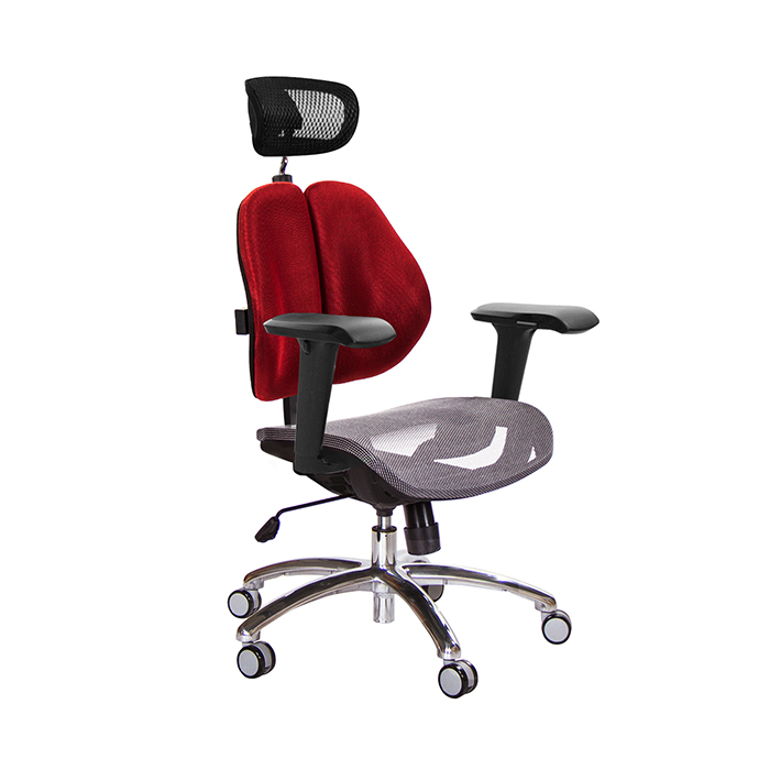 GXG 高背網座 雙背椅 (鋁腳/4D升降扶手)  TW-2802 LUA3
