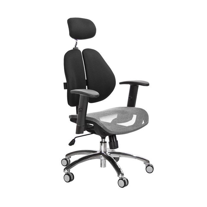 GXG 高背網座 雙背椅 (鋁腳/升降扶手)  TW-2802 LUA5