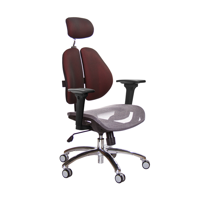 GXG 高背網座 雙背椅 (鋁腳/3D升降扶手)  TW-2802 LUA9