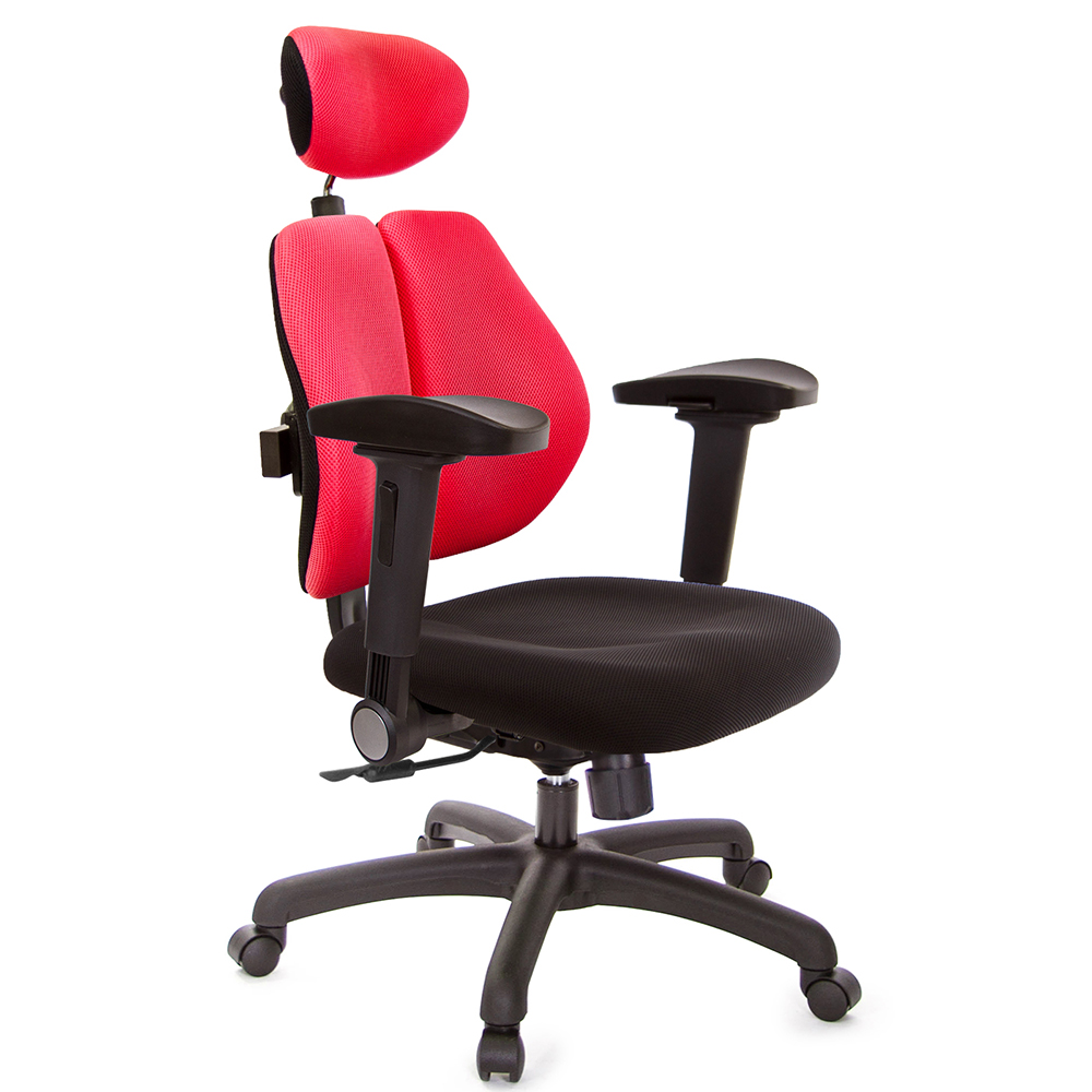 GXG 高背涼感綿 雙背椅 (4D弧面摺疊扶手)  型號2995 EA1D