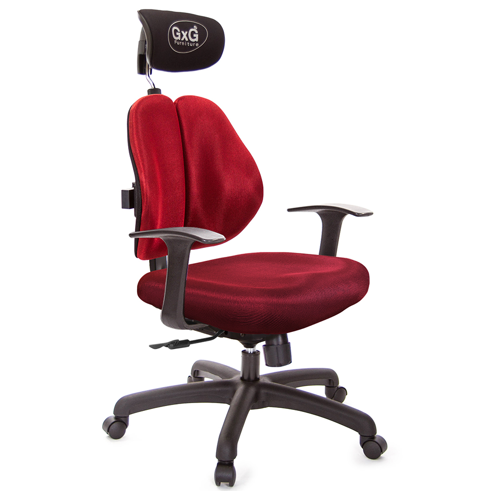 GXG 雙軸枕 雙背電腦椅(T字扶手)  型號2604 EA