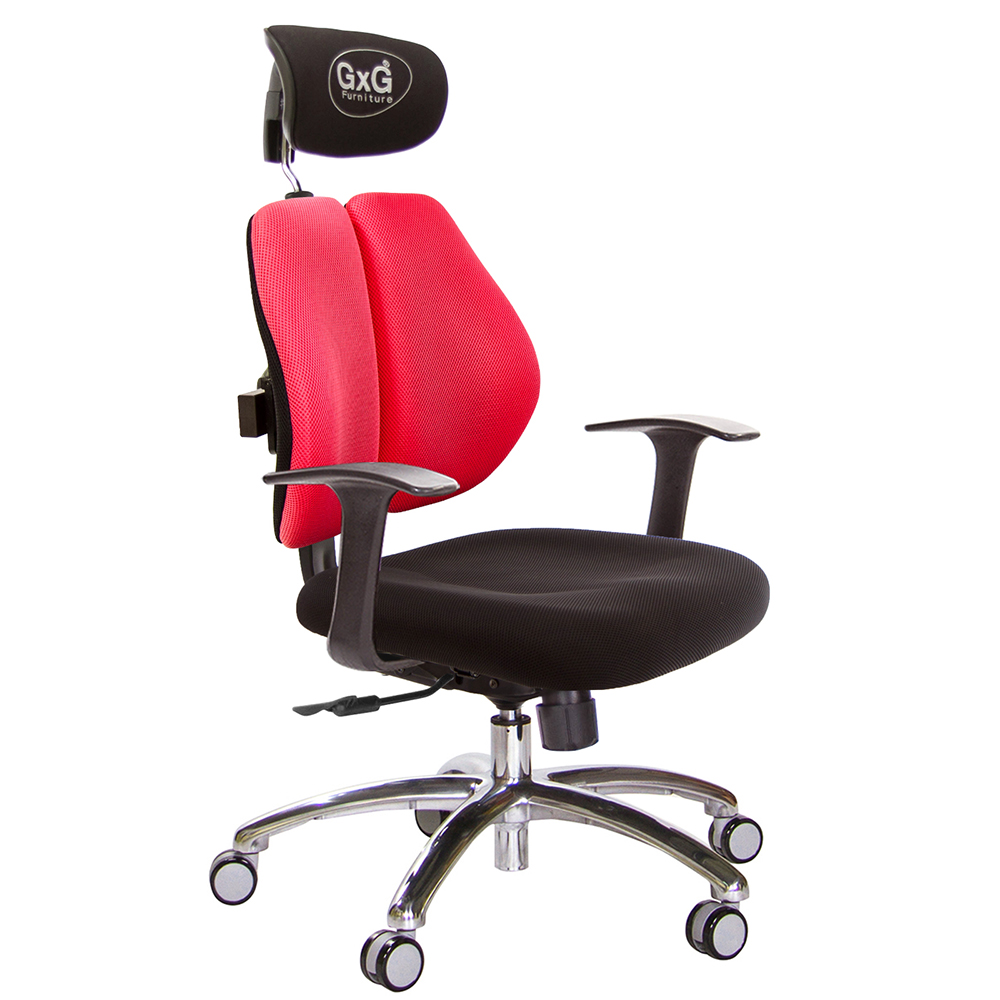 GXG 雙軸枕 雙背電腦椅(鋁腳/T字扶手)  型號2604 LUA