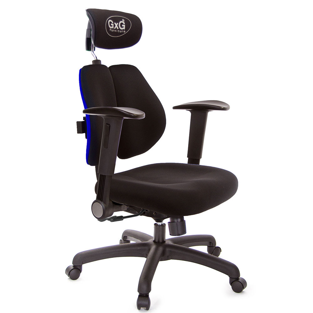 GXG 雙軸枕 雙背電腦椅(摺疊升降扶手)  型號2604 EA1