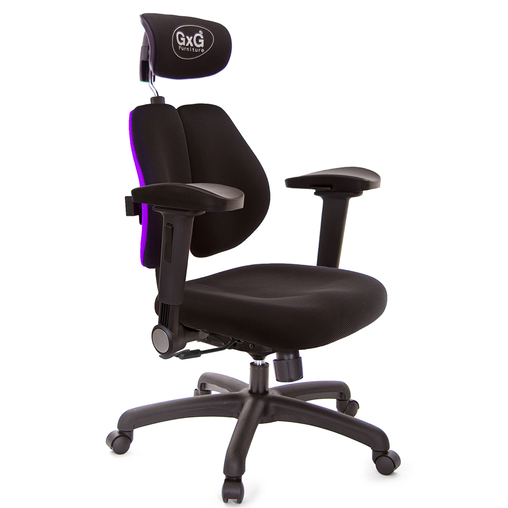 GXG 雙軸枕 雙背電腦椅(4D弧面摺疊手)  型號2604 EA1D
