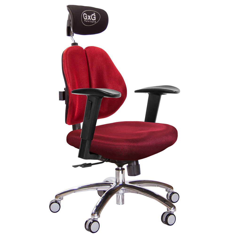 GXG 雙軸枕 雙背電腦椅(鋁腳/2D升降扶手)  型號2604 LUA2