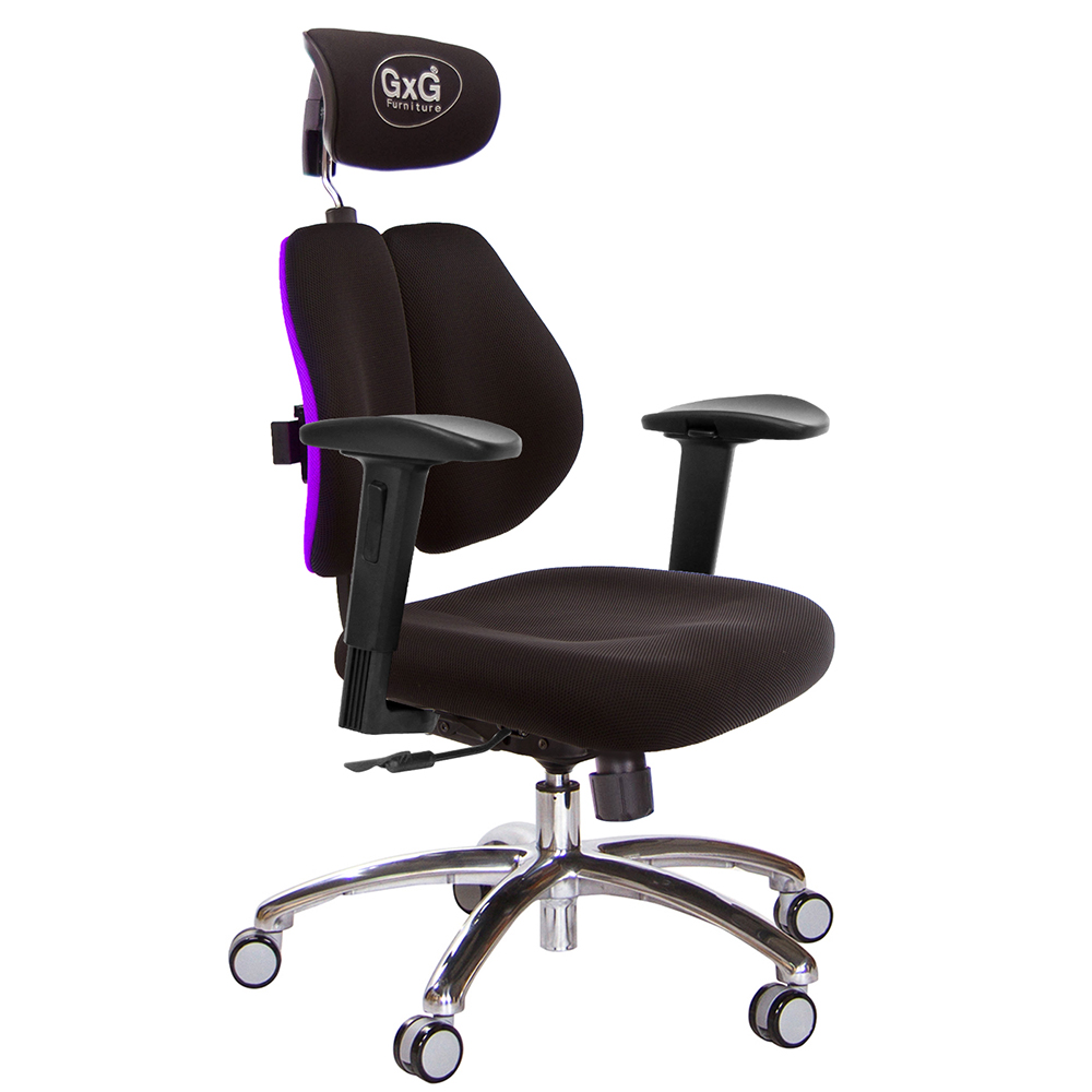 GXG 雙軸枕 雙背電腦椅(鋁腳/2D滑面升降扶手)  型號2604 LUA2J