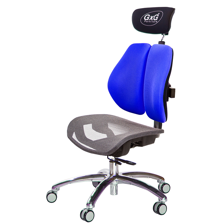 GXG 雙軸枕 雙背工學椅(鋁腳/無扶手) 中灰網座 型號2706 LUANH
