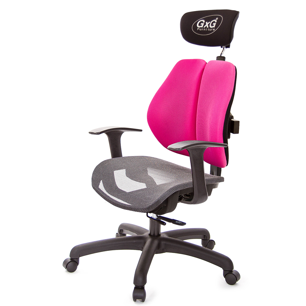 GXG 雙軸枕 雙背工學椅(T字扶手) 中灰網座 型號2706 EA