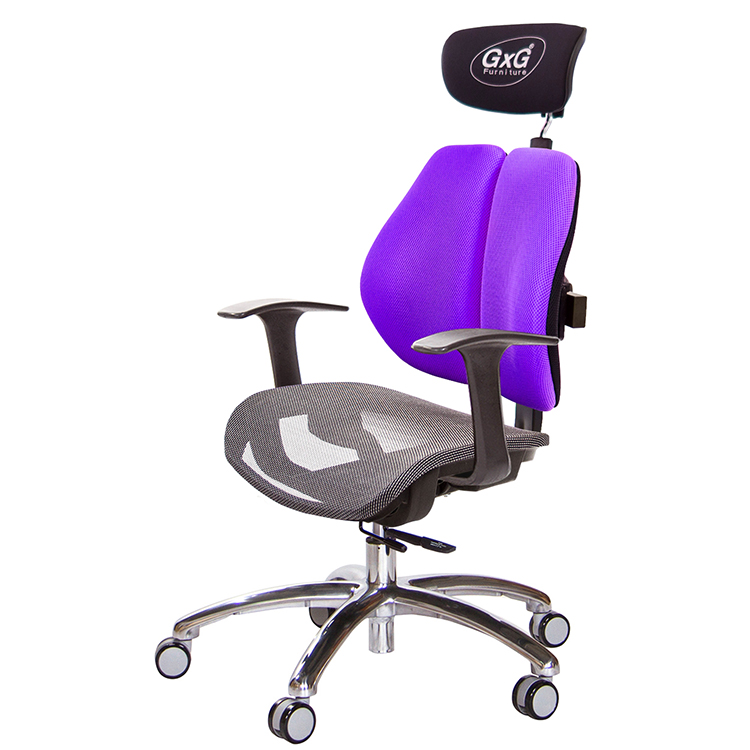 GXG 雙軸枕 雙背工學椅(鋁腳/T字扶手) 中灰網座 型號2706 LUA